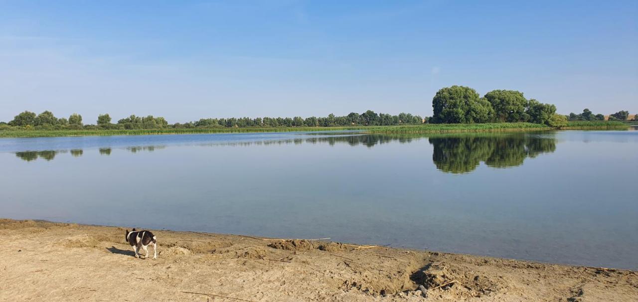 Haus An Der Pferdekoppel Am Blankenburger See Blankenburg  ภายนอก รูปภาพ