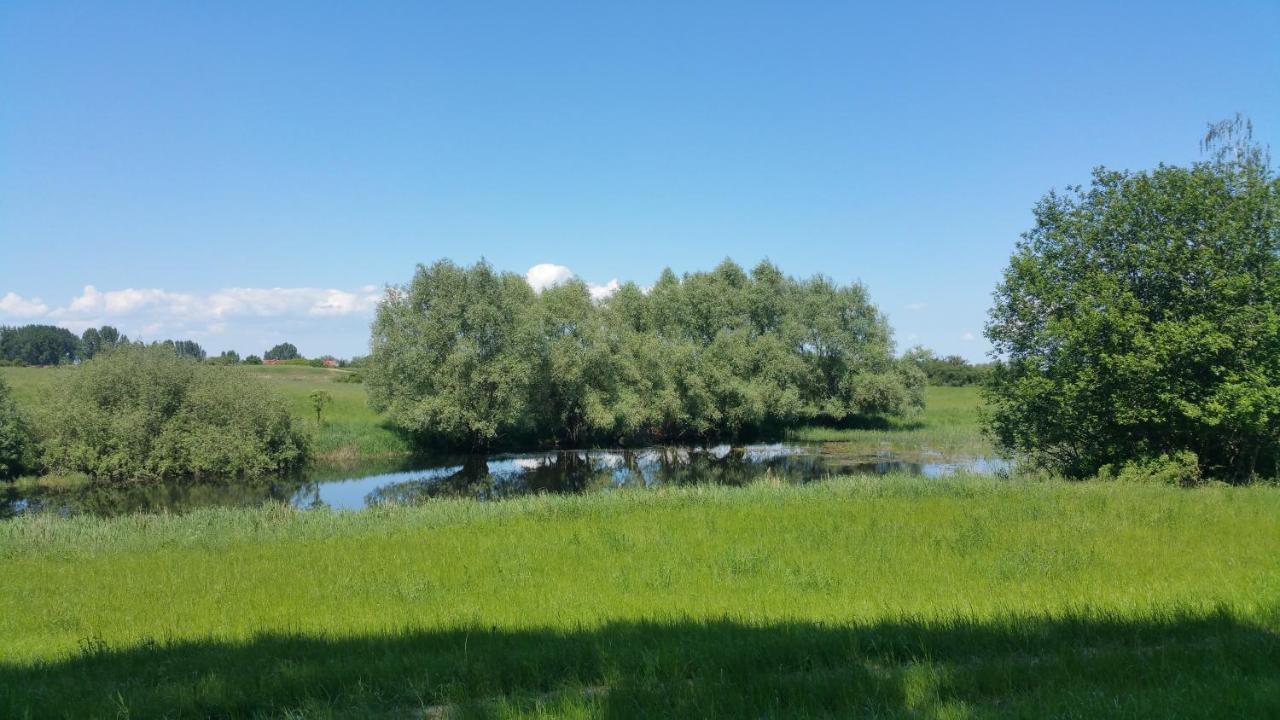Haus An Der Pferdekoppel Am Blankenburger See Blankenburg  ภายนอก รูปภาพ