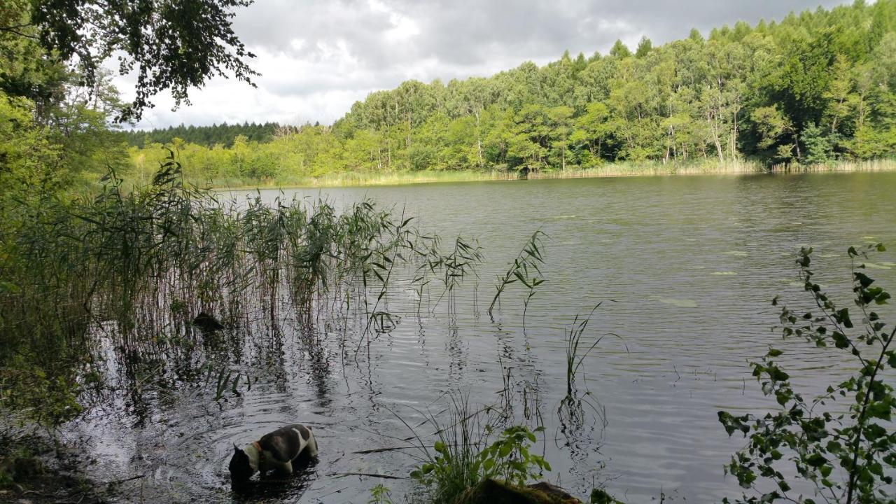 Haus An Der Pferdekoppel Am Blankenburger See Blankenburg  ภายนอก รูปภาพ