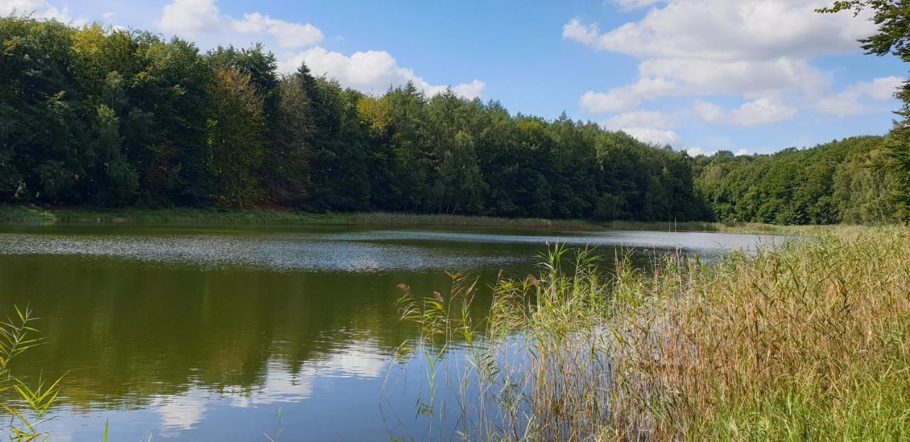 Haus An Der Pferdekoppel Am Blankenburger See Blankenburg  ภายนอก รูปภาพ
